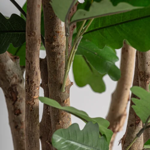Plante artificielle Roble verte 210 cm Vical Home — vue 4