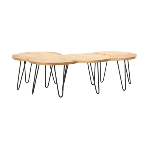 Table Basse Nest Motifs Set/4 Athezza — vue 2