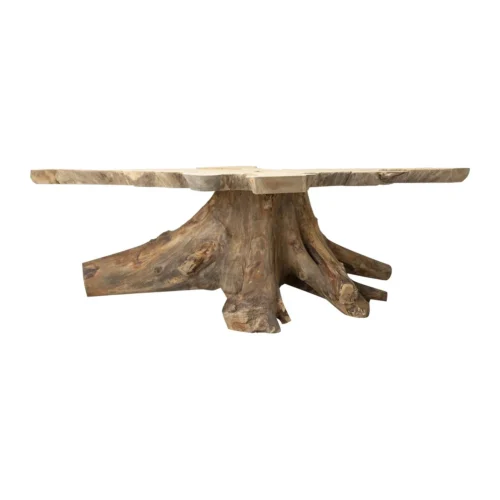 Table basse racine de teck Owiot plateau à contours libres Ethan Chloé 160 cm — vue 3