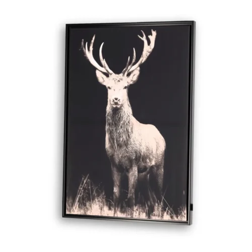 Toile Encadrée Cerf Athezza