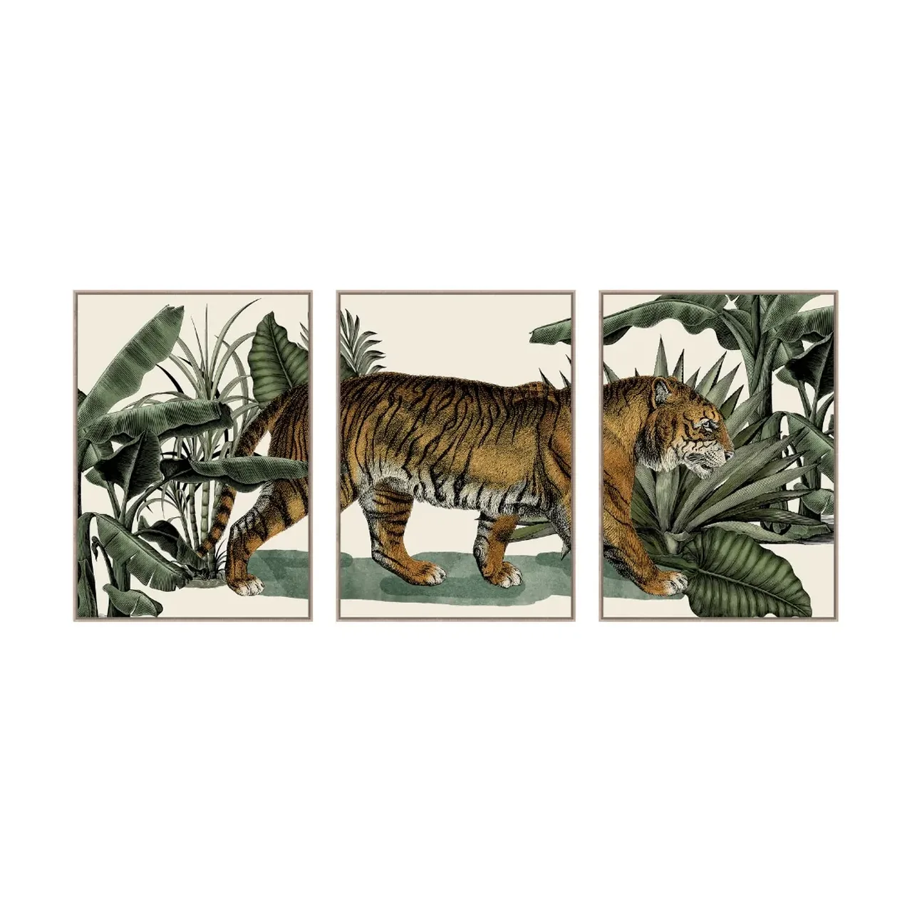 Toile Encadrée Tigre Triptyque Athezza